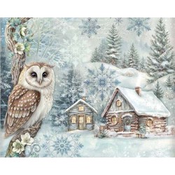 THE OWL'S HOUSE